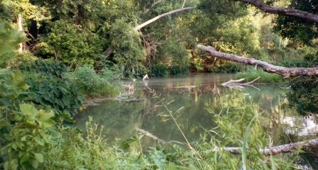 12 Step Ministry | San Marcos River